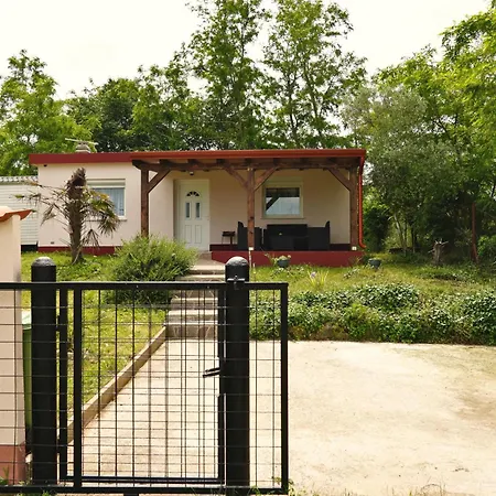 Anma, Budget Friendly Petrovija